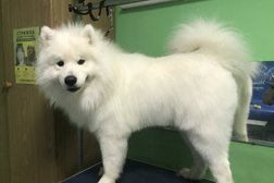 Зоосалон Хвостатый модник, с рейтингом 4.5 - находится по адресу Калуга, улица Гагарина, 8а 