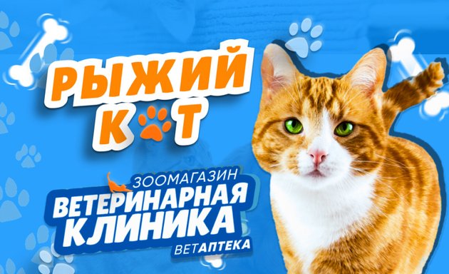 Стерилизация собак в Ижевске: цена от 1490 руб. – Стерилизовать собаку: 26  ветеринарных клиник, 598 отзывов, фото – Zoon.ru