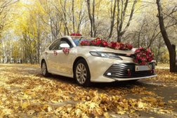 Междугородняя служба заказа автомобилей бизнес и премиум класса VIP-Комфорт