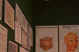 Центр красоты и здоровья EllMix, с рейтингом 5 - находится по адресу Чеченская Республика, Грозный, улица Сайханова, 222 