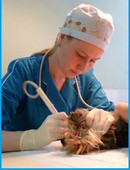 Белова Ирина Ивановна