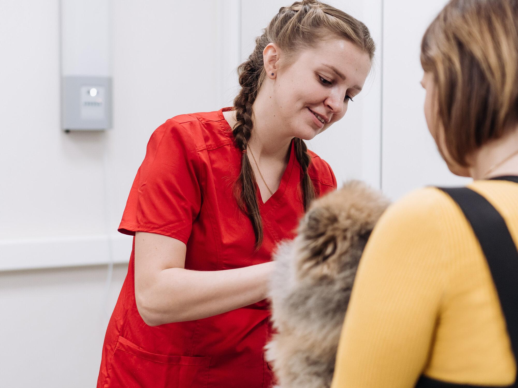 ЗооМедЭксперт, ветеринарная клиника на улице Рыленкова в Смоленске ...