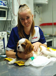 Ветеринарный врач УЗИ, ветеринар Ольга Вячеславовна Розова