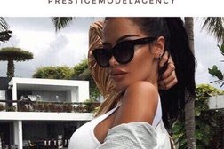 Prestige Model Agency