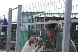 Приют для бездомных животных ЮАО, с рейтингом 4 - находится по адресу Москва, Востряковский проезд, 10А 