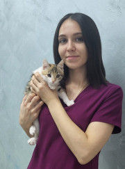 Ветеринарный врач-терапевт, ветеринарный врач-дерматолог Светлана Михайловна Панкратова