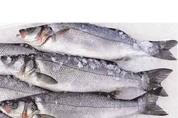 Интернет-магазин морепродуктов Фиш-Маркет.рф, с рейтингом 4.8 - находится по адресу Владивосток, улица Вострецова, 45А 