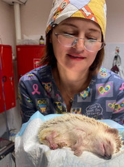 Ратолог, ветеринар Наталья Александровна Маркина