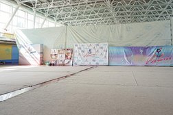 Школа художественной гимнастики Ласточка, с рейтингом 4.5 - находится по адресу Самара, Физкультурная улица, 101 