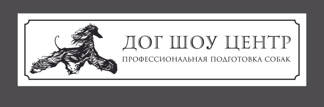 Шоу Дог Интернет Магазин