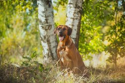 Тина трейдинг, с рейтингом 2.1 - находится по адресу Московская область, Тишково село, 61 