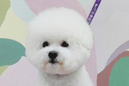 Зоосалон ЛапУсики, с рейтингом 4 - находится по адресу Калужская область, Обнинск, улица Гурьянова, 19а 