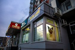 Зоосалон Pets Lab, с рейтингом 4.3 - находится по адресу Москва, Пятницкое шоссе, 21 