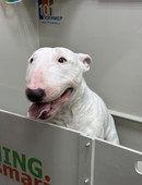 Русских Сергей Владимирович