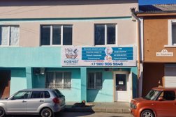 Ветеринарный центр Ковчег, с рейтингом 4.8 - находится по адресу Краснодарский край, Туапсе, улица Кошкина, 1Б 