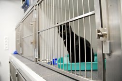 Ветеринарная клиника Ветдоктор, с рейтингом 3.5 - находится по адресу Оренбург, Салмышская улица, 58/1 