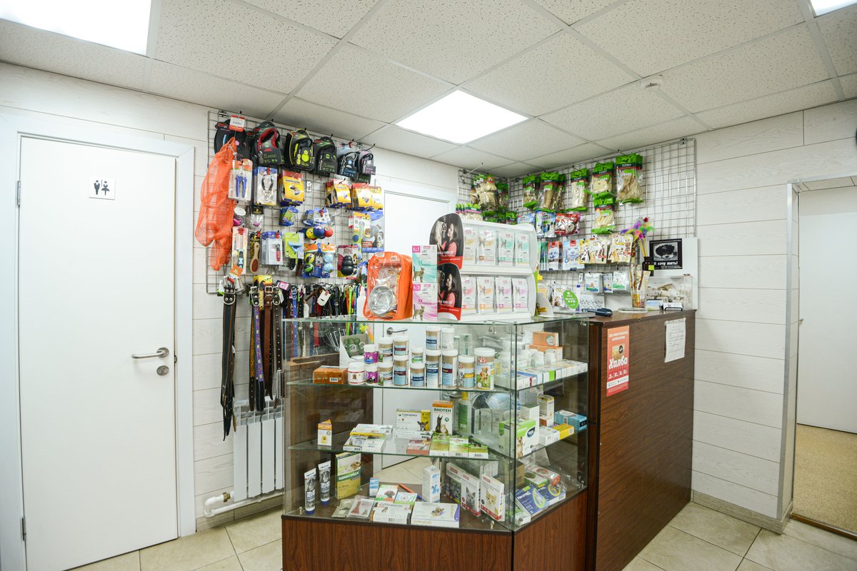 ветклиника врач. телефон ветеринарной клиники хабаровска. телефон ветеринарной клиники хабаровска. краснореченская 211 хабаровск. ветклиника в хабаровске ул.