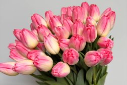 Магазин цветов Флорацентр, с рейтингом 5 - находится по адресу Московская область, Химки, Совхозная улица, 29с20 