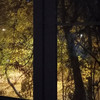 фото от пользователя Ольга в отзыве о участок №5 Жилищник городского округа Химки