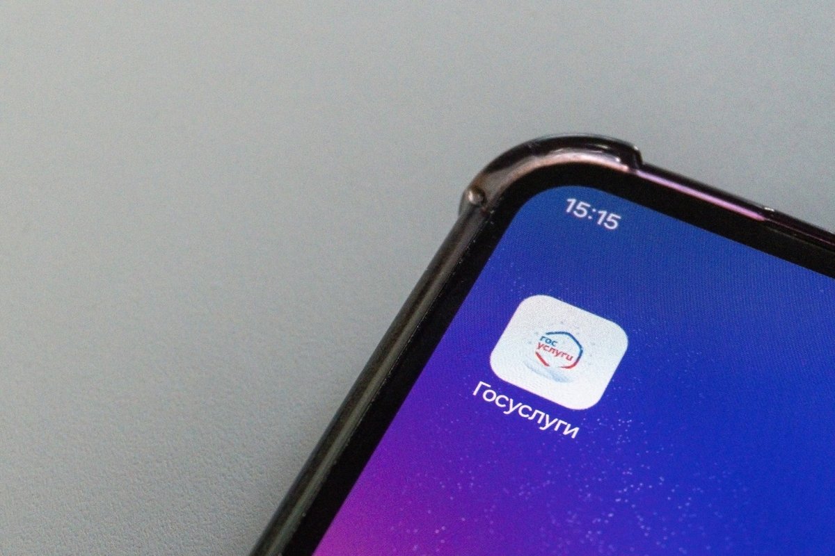 Иконка &laquo;Госуслуг&raquo; на смартфоне