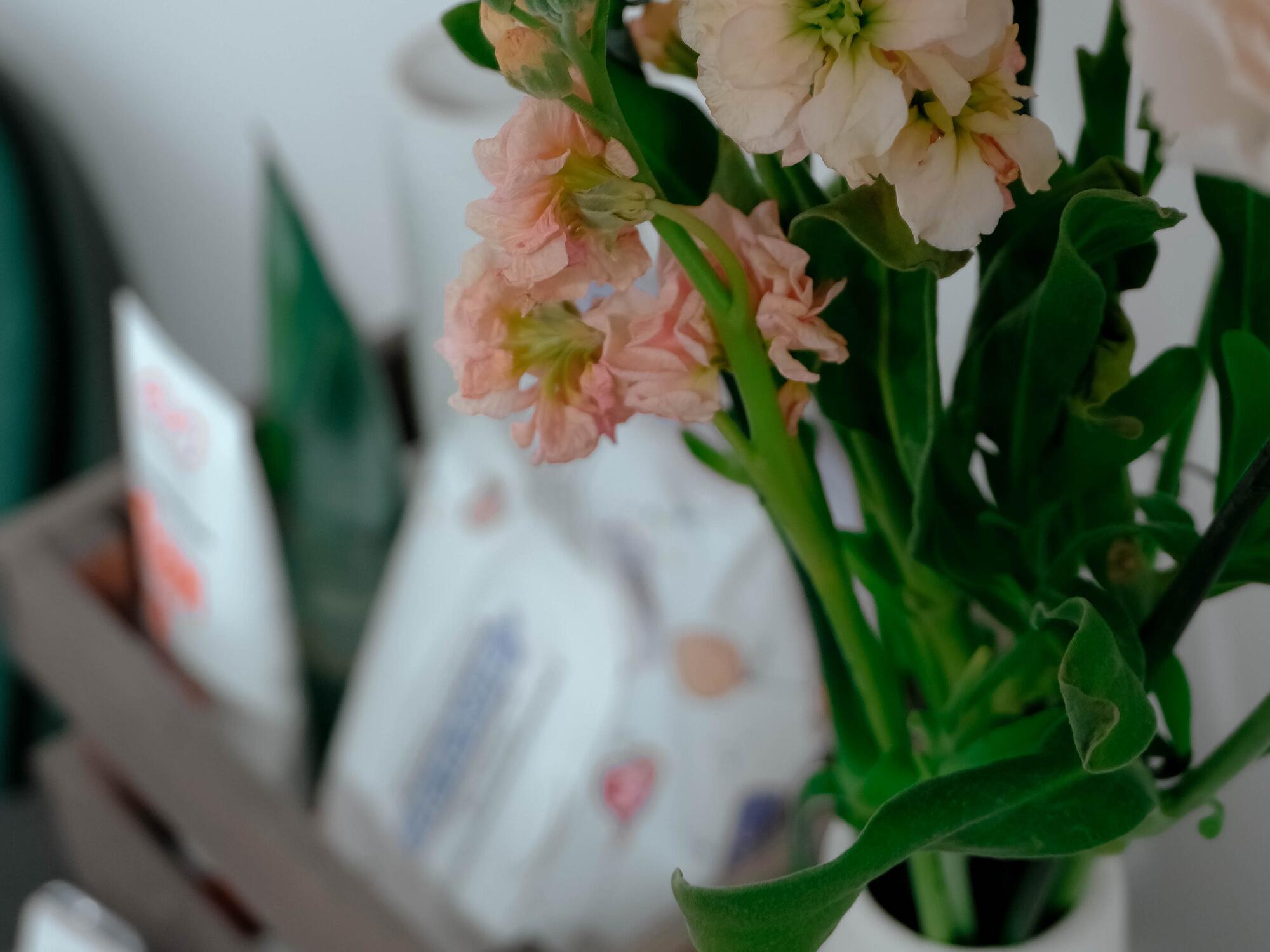 Студия эпиляции Winglab в Орехово-Зуево - отзывы о салоне красоты, фото ...