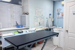 Ветеринарная клиника Витагор, с рейтингом 4.6 - находится по адресу Архангельская область, пос. Талаги, Талажское шоссе, 22 