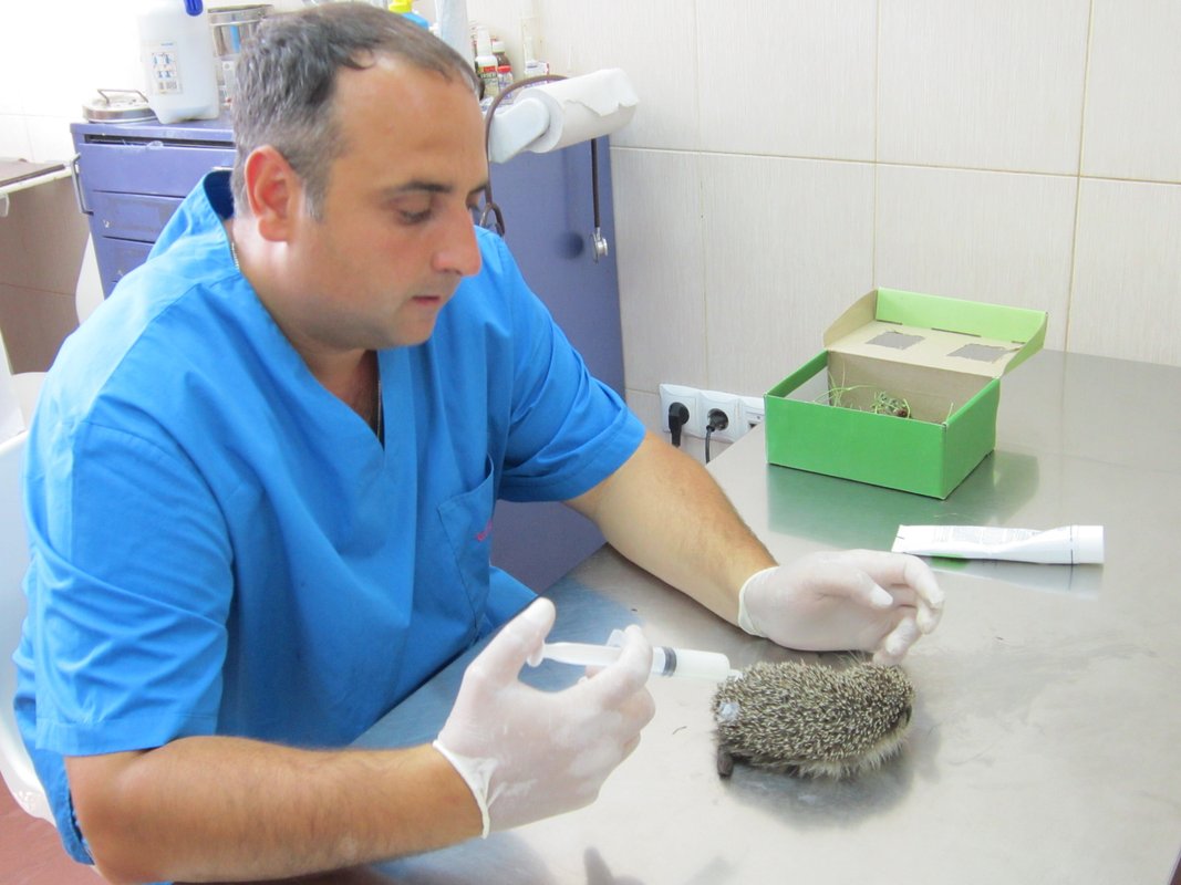 Ветеринарная клиника ОБЛ ВЕТ - отзывы, фото, цены, телефон и адрес ...