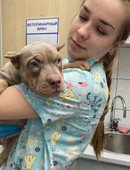 Дмитриева Алёна Алексеевна