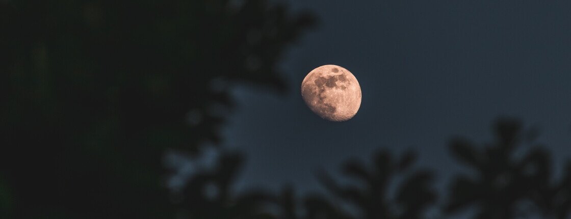 Источник фото: wirestock / freepik.com