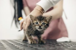 Ветеринарная клиника доктора Воронковой, с рейтингом 2.5 - находится по адресу Астрахань, Моздокская улица, 18 