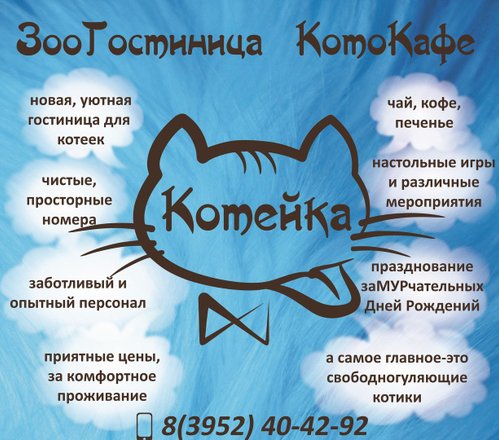 Котокафе бизнес проект