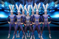 Студия танцев Tropicana, с рейтингом 4.6 - находится по адресу Липецк, площадь Победы, 6Б 