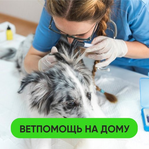 Алена Гриньке