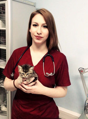 Ветеринарный гастроэнтеролог, ветеринар Анастасия Евгеньевна Кудласевич