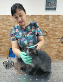 Брисюк Ксения Геннадиевна