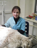 Белкина Анна Михайловна