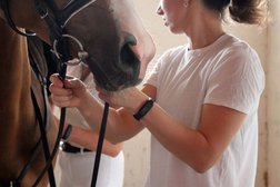 Конно-спортивный клуб Любимая Усадьба, с рейтингом 5 - находится по адресу Ростовская область, пос. Мускатный, Центральная улица, 9 