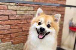 Центр по уходу за животными Зоомолл, с рейтингом 3.6 - находится по адресу Архангельск, Московский проспект, 6 к3 