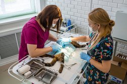 Ветеринарная клиника Мос Вет 24, с рейтингом 2.6 - находится по адресу Москва, улица Айвазовского, 7а 