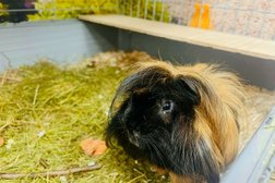 Фотостудия МЛ «Мона Лиза», с рейтингом 5 - находится по адресу Москва, улица Раменки, 17к1 