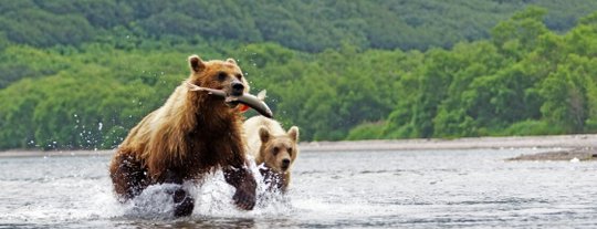 Что посмотреть на Дальнем Востоке: 30 самых интересных достопримечательностей