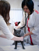 Козак Светлана Александровна