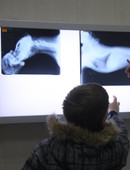 Седельников Михаил Юрьевич