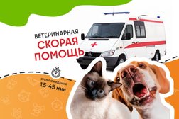 Ветеринарная служба ВетСкорая24, с рейтингом 5 - находится по адресу Санкт-Петербург, Колпино, Тверская улица, 10А 