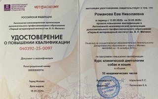 сертификат/документ ветеринара Евы Николаевны Романовой