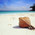 фотография Ics Travel Group