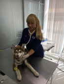 Белова Инна Андреевна