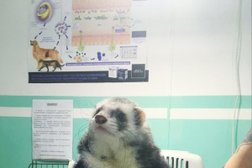 Ветеринарная клиника Кентавр, с рейтингом 4.1 - находится по адресу Республика Крым, Симферополь, Киевская улица, 96 