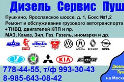 Дизель Сервис Пушкино
