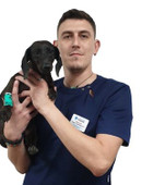 Арепьев Павел Эдуардович